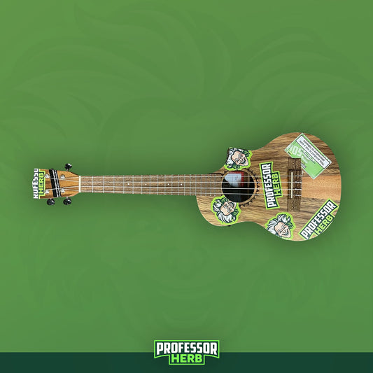 Professor Herb x Liam C