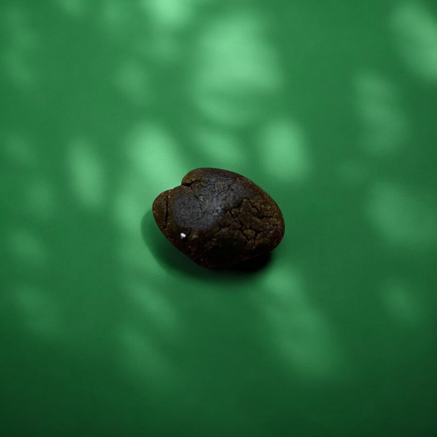 Professor Herb Hemp Solid Extract (2g) - Bubble Hash (19%)