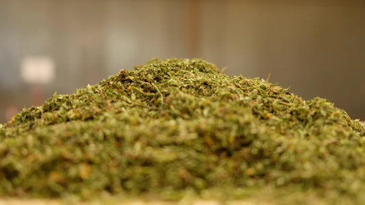 What is Hemp Biomass?