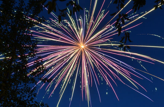 CBD and Bonfire Night