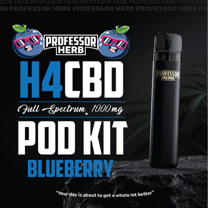 Professor herb h4cbd pod kit blueberry