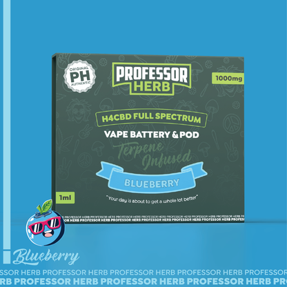 Professor Herb 1000MG H4CBD Full Spectrum 1ML Pod Kit - Blueberry