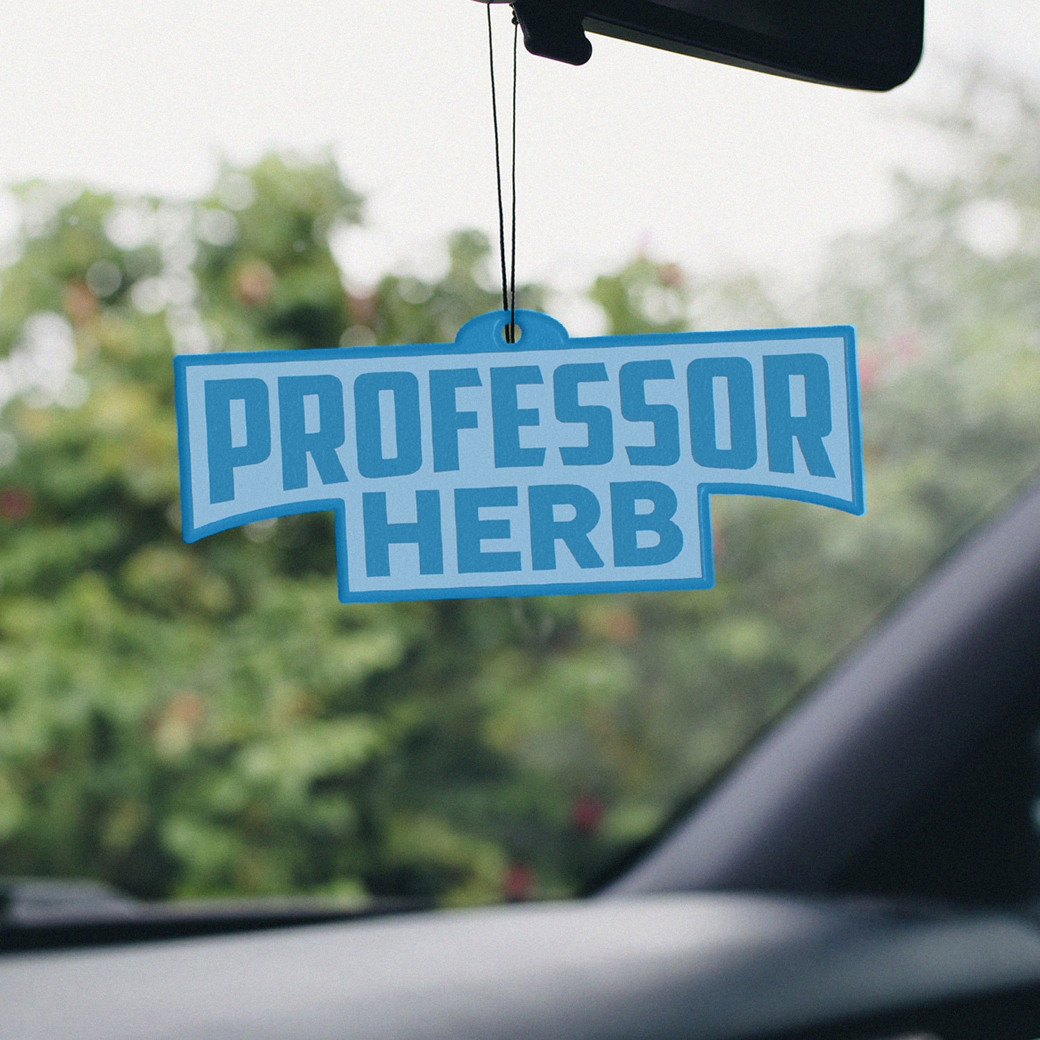 Professor Herb Car Air Freshener - Blackberry - Image 3