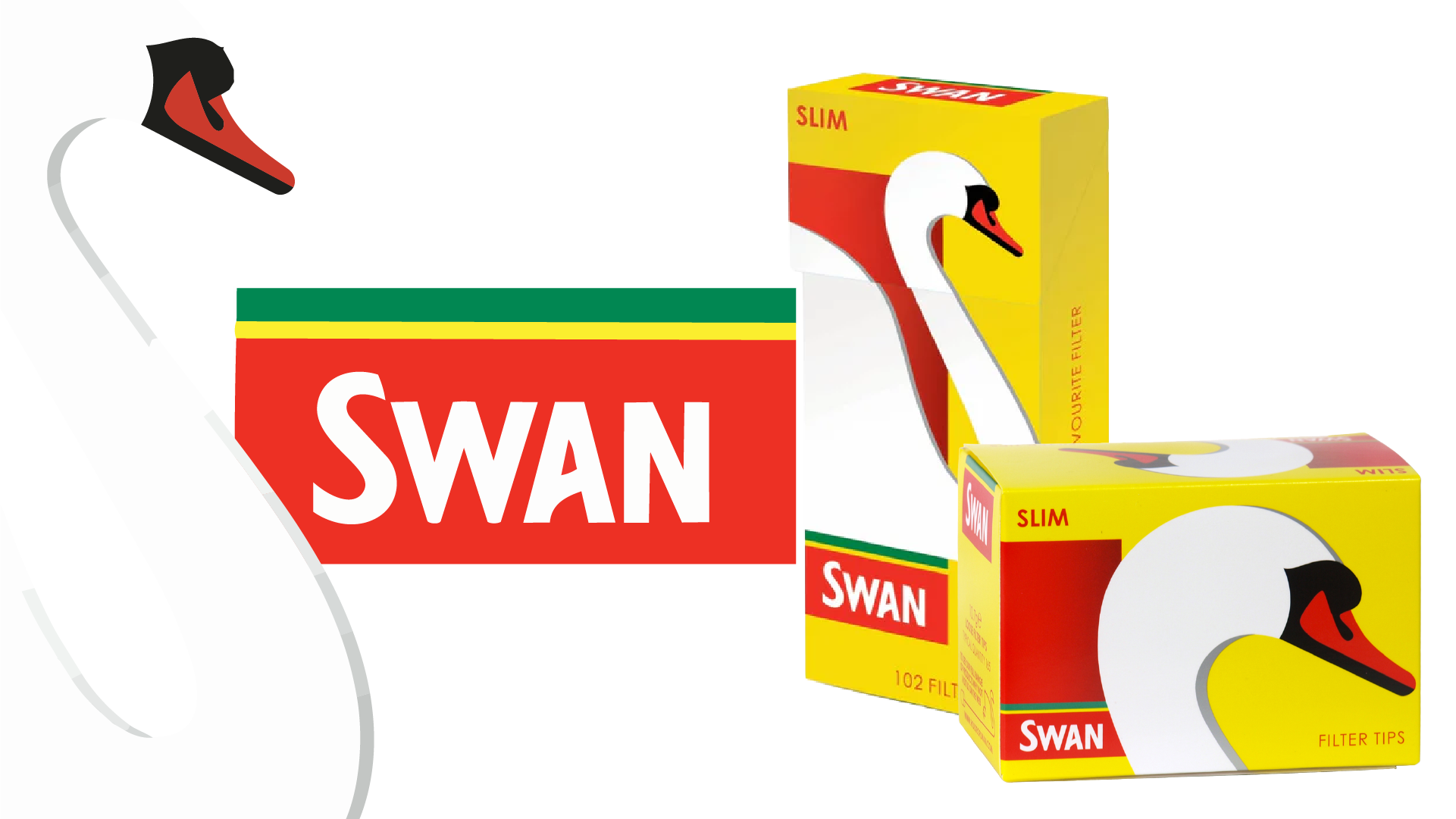 Swan