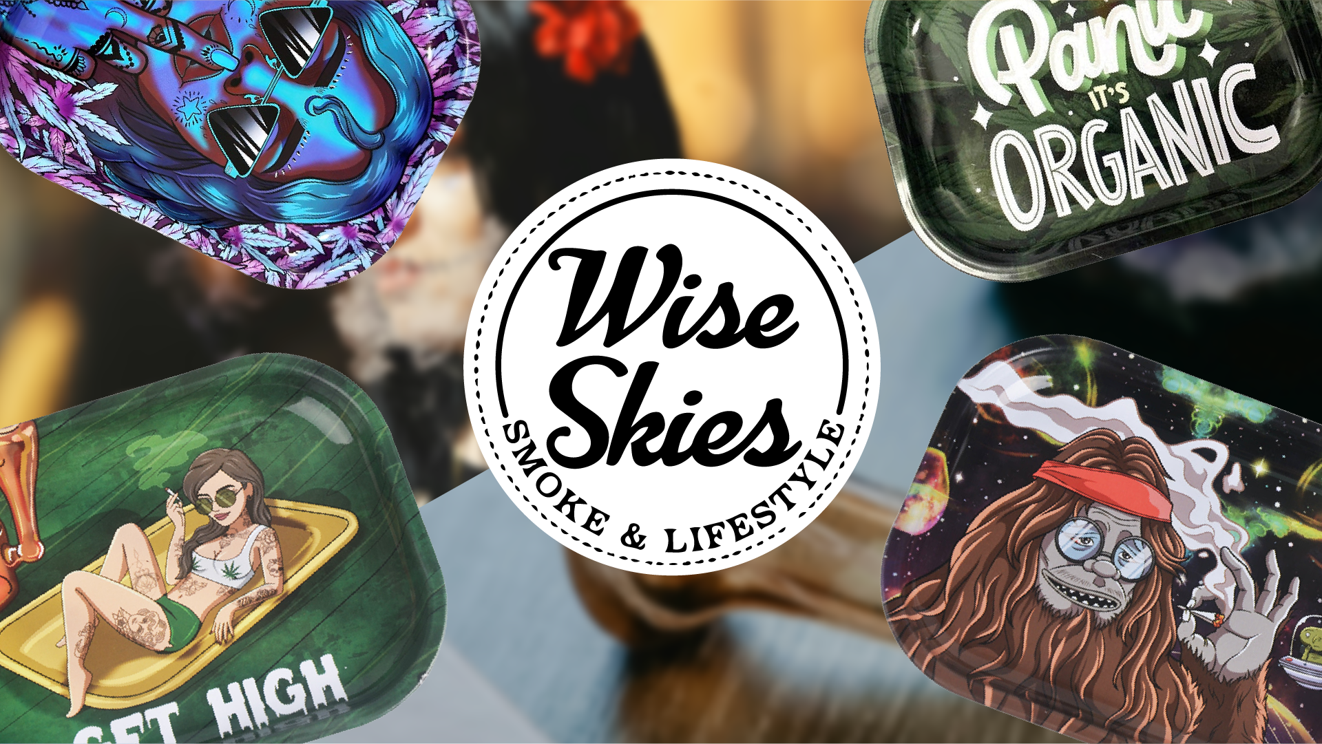 Wise Skies